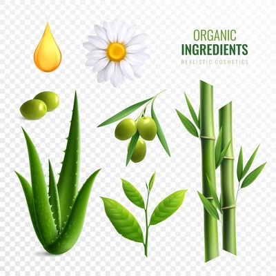 Realistic transparent organic cosmetics ingredients icon set with plants oil aloe olives vector illustration