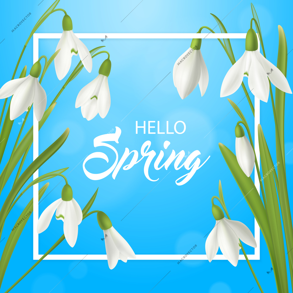 Realistic snowdrop flower hello summer poster background with flat frame ornate text and natural spring flowerage vector illustration