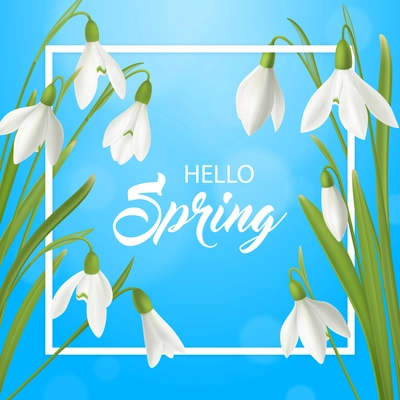 Realistic snowdrop flower hello summer poster background with flat frame ornate text and natural spring flowerage vector illustration