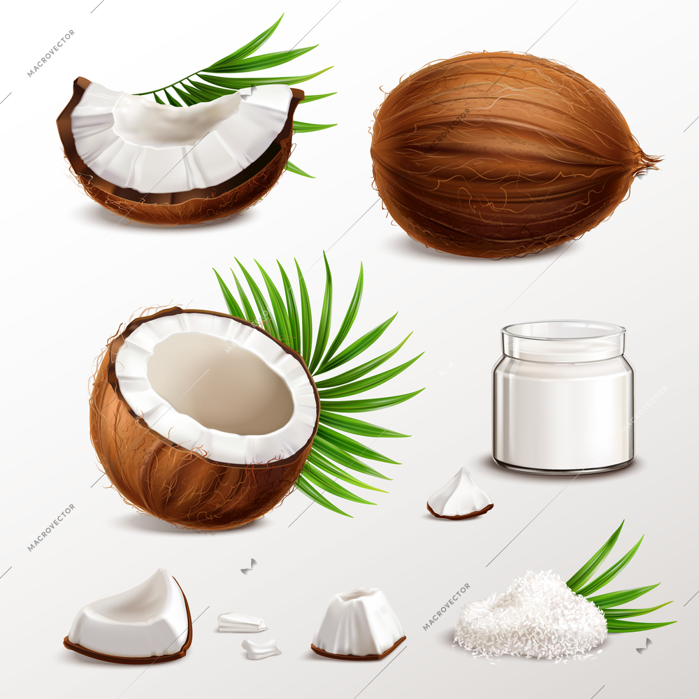 Coconut realistic set with nut segments  flesh pieces jar milk powder dry flakes palm leaves vector illustration