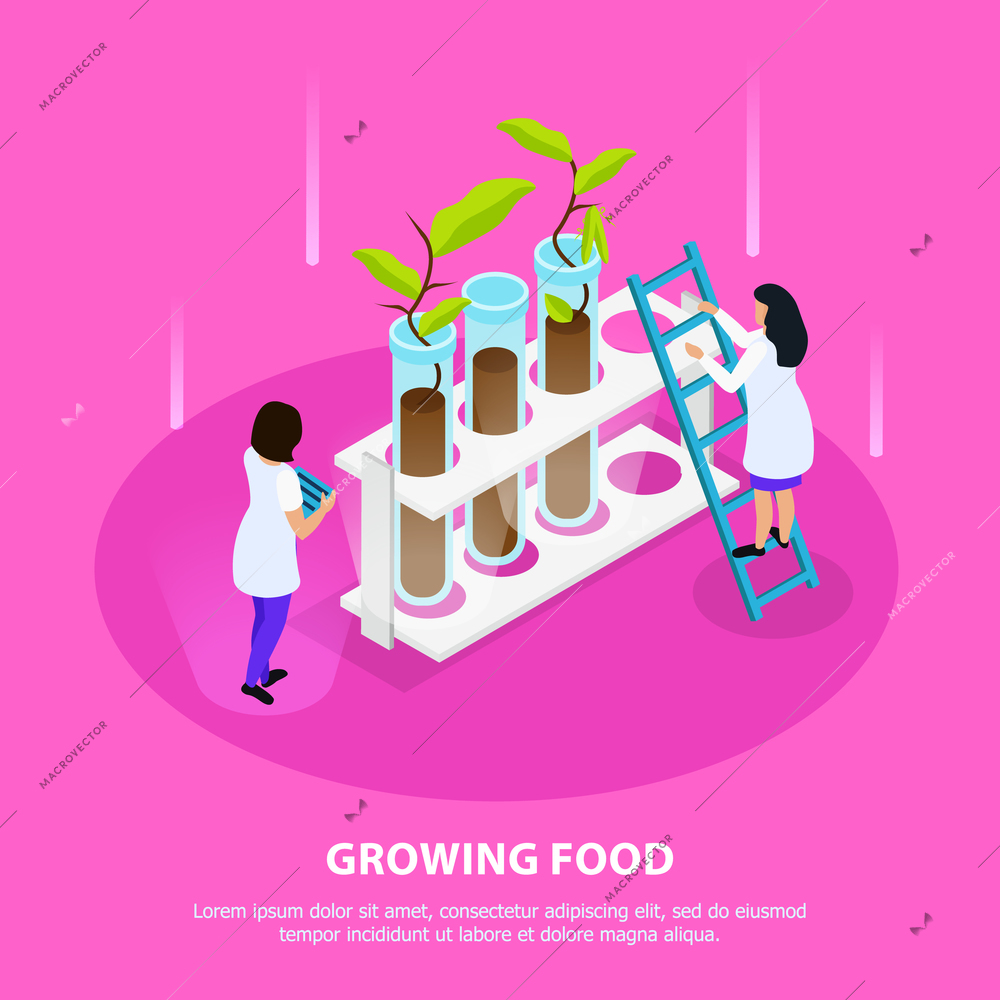 Growing of artificial food isometric composition with sprouts in laboratory beakers on pink background vector illustration