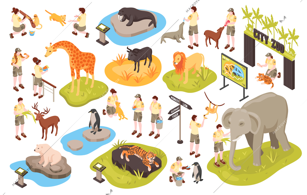 Isometric zoo set with isolated images of animals human characters of personnel and animal park items cector illustration