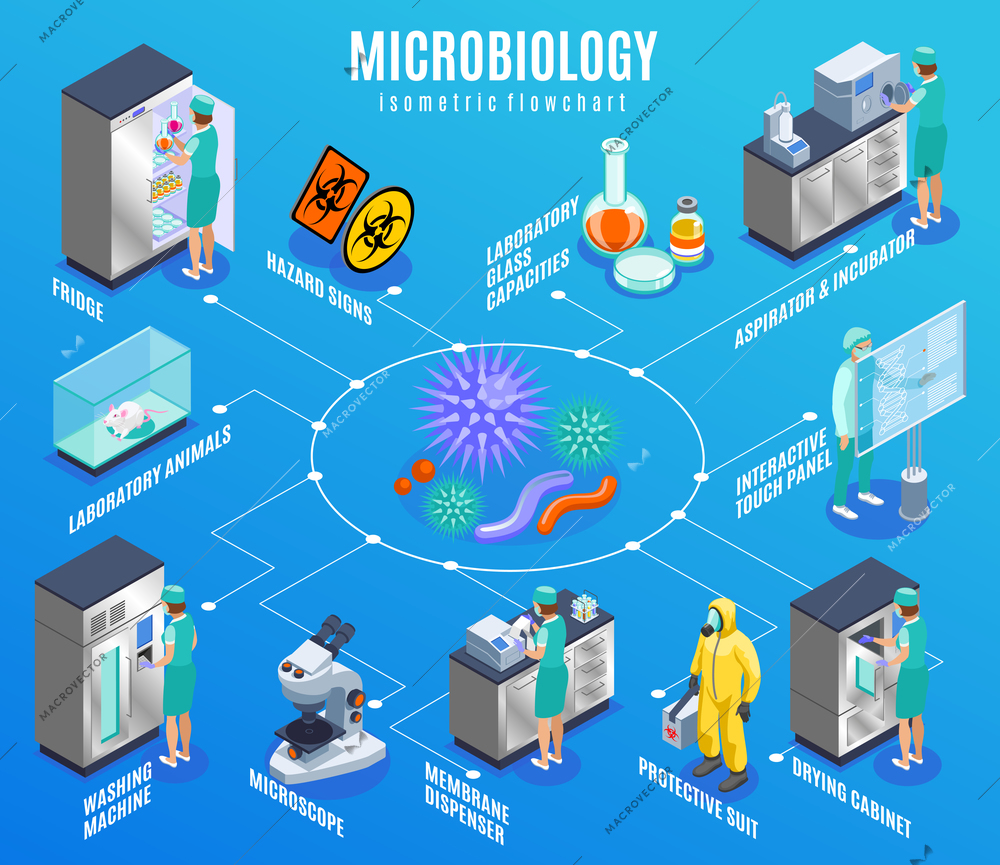 Microbiology isometric flowchart with fridge laboratory animals washing machine microscope membrane dispenser protective suit and other descriptions vector illustration