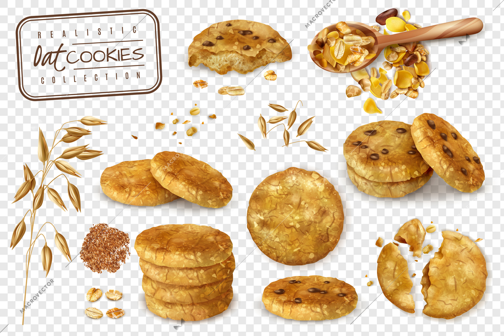 Realistic collection of oat cookies whole and halves isolated on transparent background  vector illustration