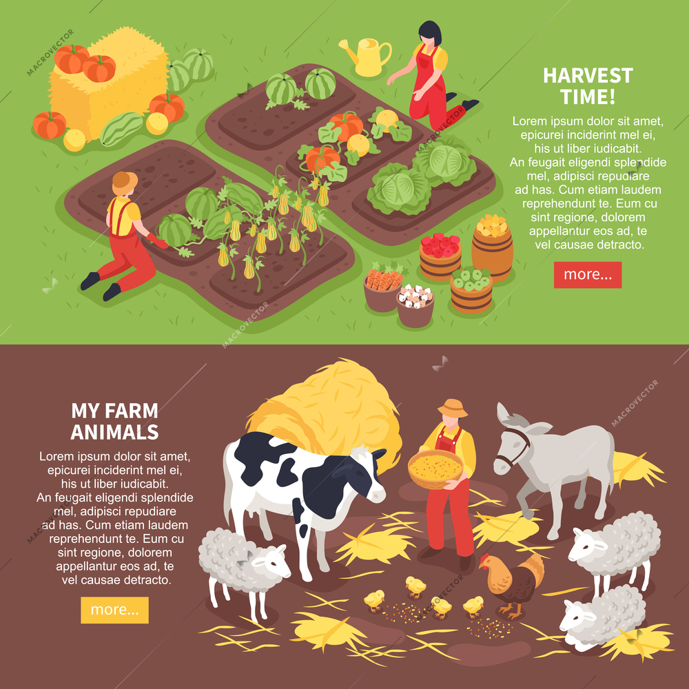 Isometric horizontal banners set with farm animals and farmers reaping harvest 3d isolated vector illustration