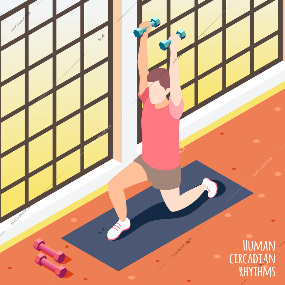 Colored isometric human circadian rhythms background man at the gym on workout vector illustration
