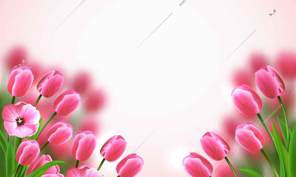 Mothers Day colored flowers composition with beautiful pink tulips on white background