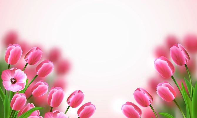 Mothers Day colored flowers composition with beautiful pink tulips on white background