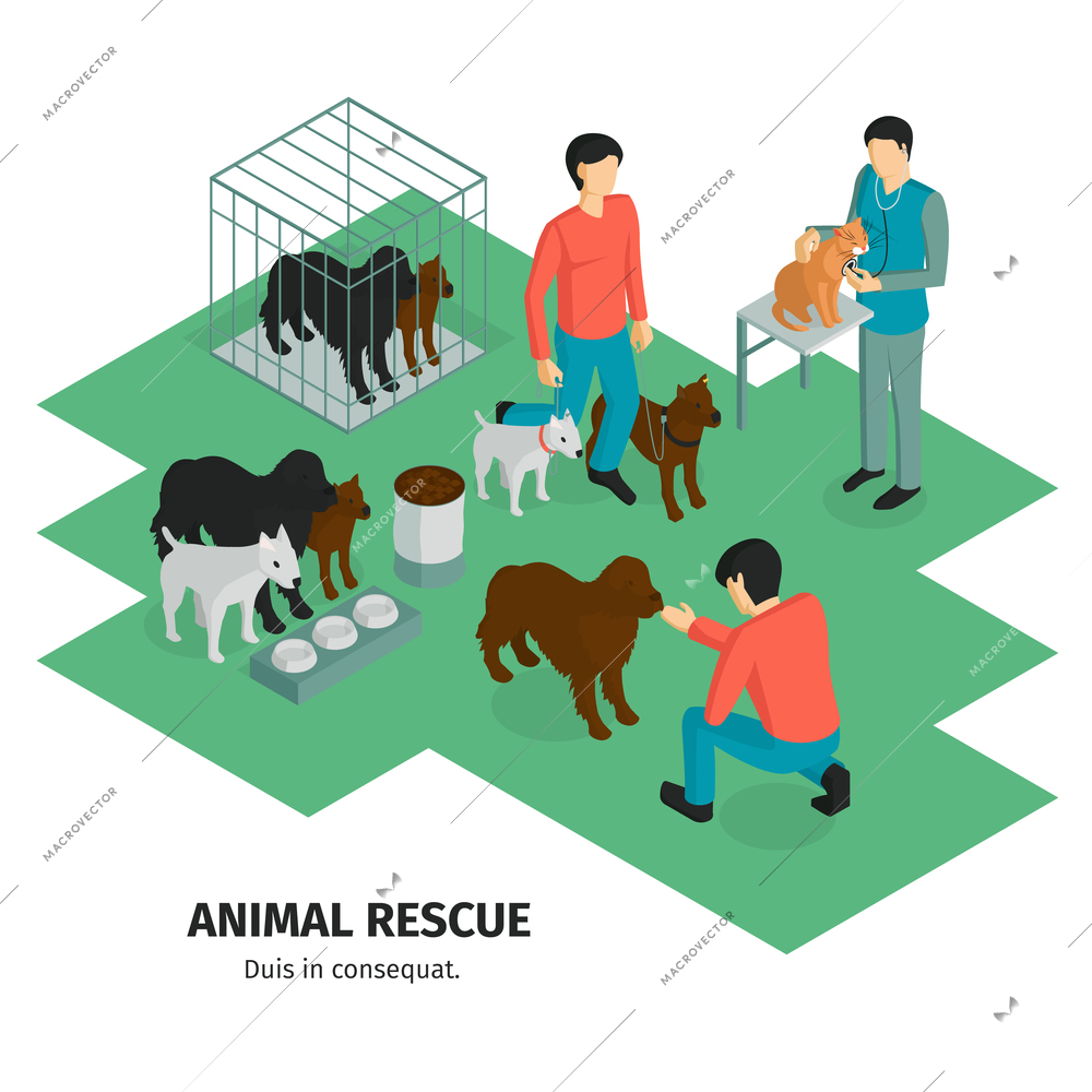 Isometric charity composition with human characters of people guardians and domestic animals pets with editable text vector illustration