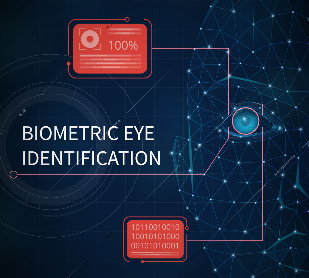 Biometric eye identification abstract background illustrated providing protection using identification by eye iris vector illustration