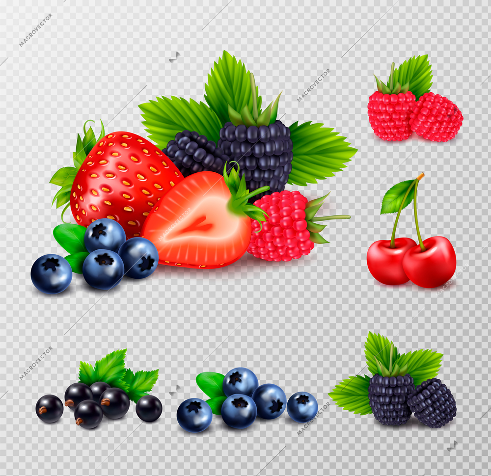 Berry fruit realistic set with clusters of ripe berries and green leaves images on transparent background vector illustration