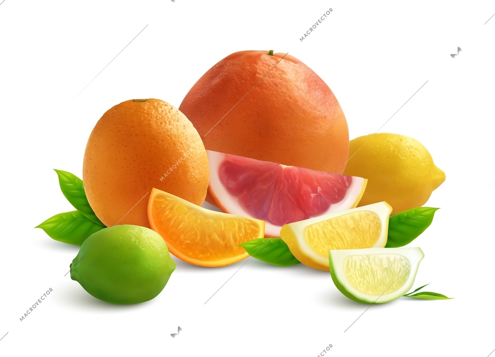 Citrus realistic colored composition with slices of grapefruit lyme orange and lemon on white background vector illustration