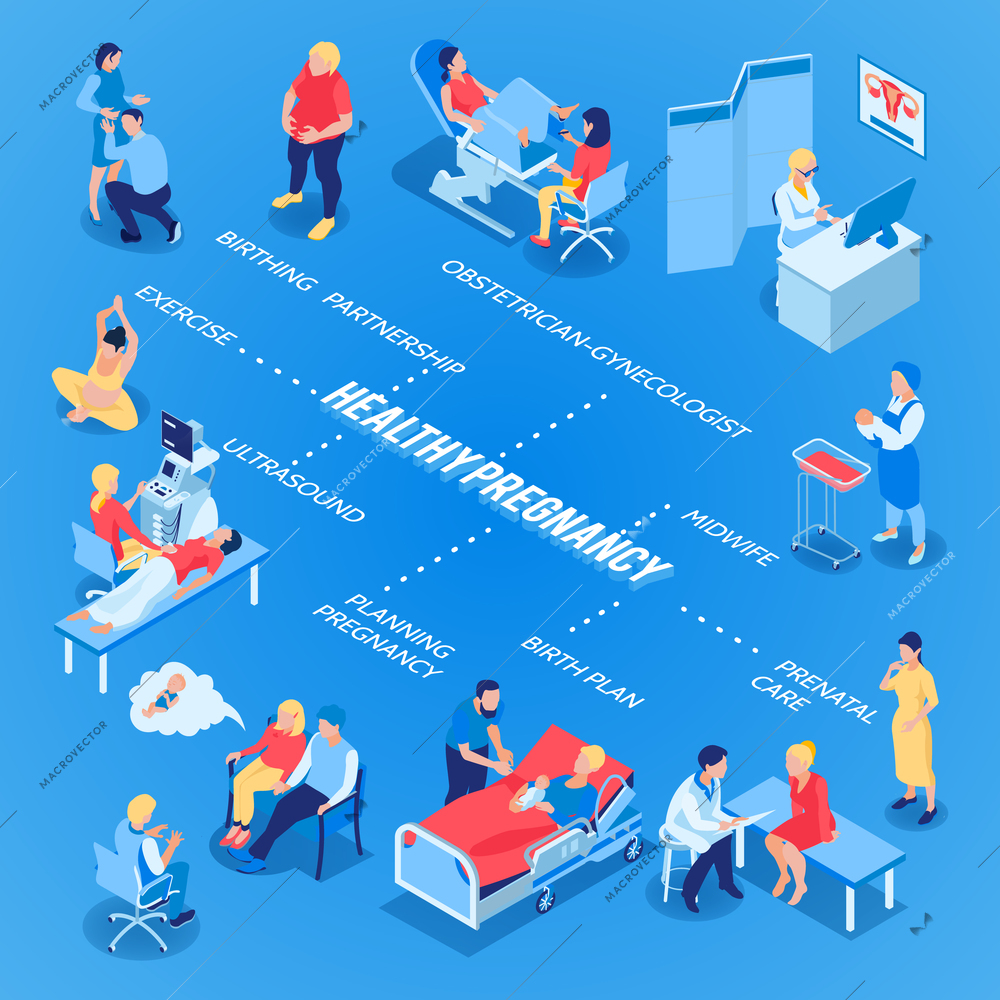 Gynecology and pregnancy flowchart with birth plan symbols isometric vector illustration