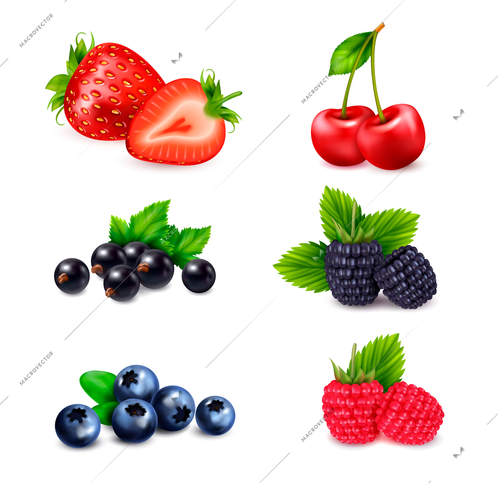 Berry fruit realistic set with isolated colourful images of berries sorted by different species with shadows vector illustration