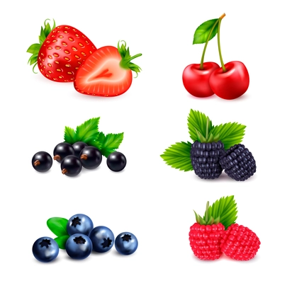 Berry fruit realistic set with isolated colourful images of berries sorted by different species with shadows vector illustration