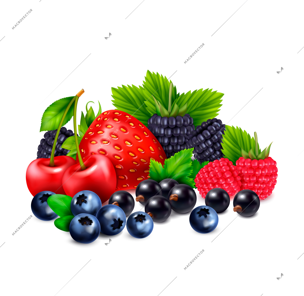 Berry fruit realistic composition with cluster of different berries realistic images with shadows on blank background vector illustration