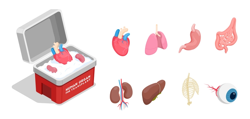 Isometric icons set with different donor human organs for transplantation isolated on white background 3d vector illustration