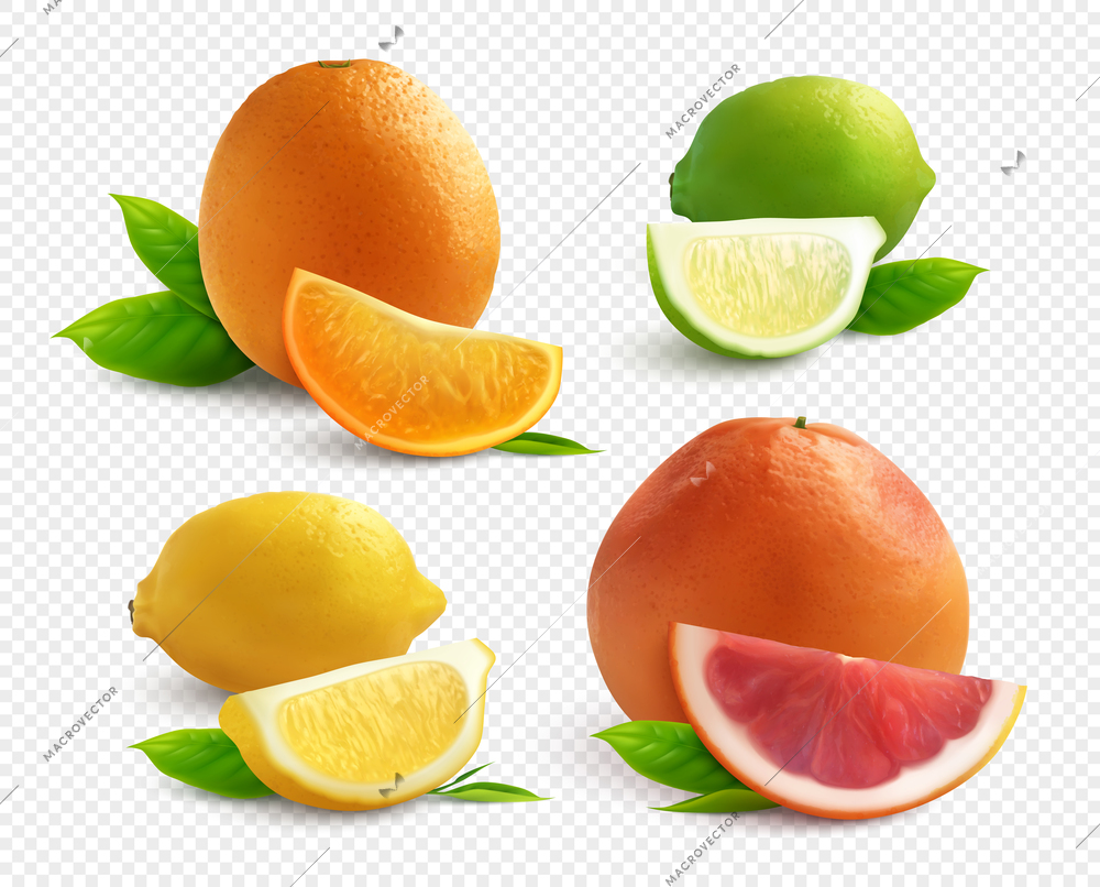 Citrus fruits realistic set with lyme orange lemon and  grapefruit  isolated on transparent background vector illustration