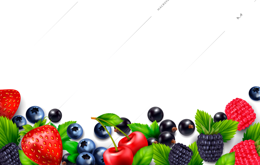 Berry fruit realistic background with blank empty space and colourful frame with leaves and berries images vector illustration