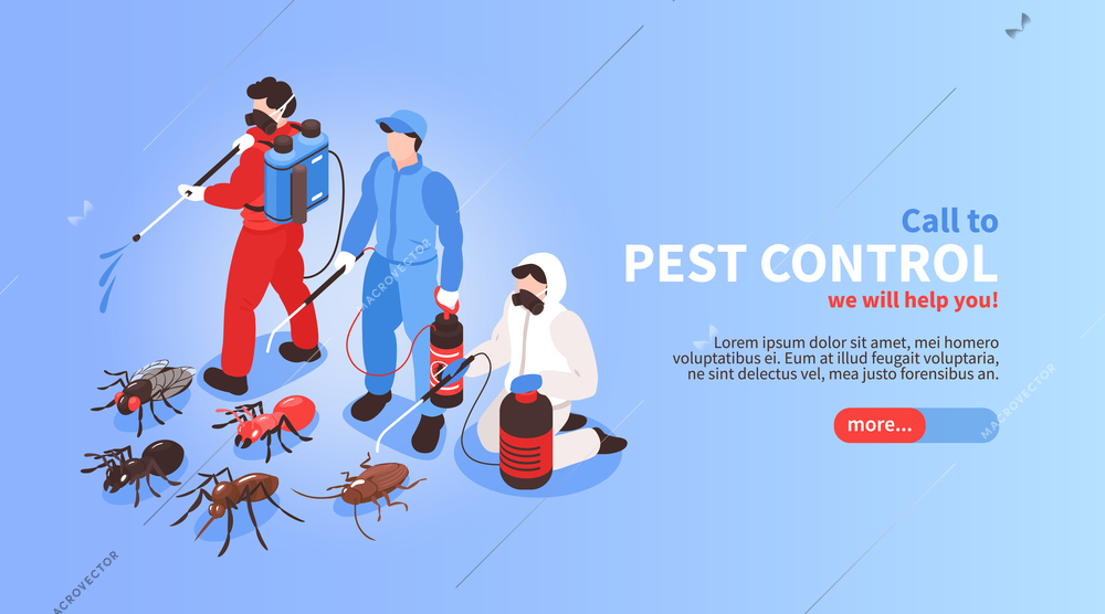 Pest control house hygiene disinfection service isometric website banner with professional team exterminating insects background vector illustration