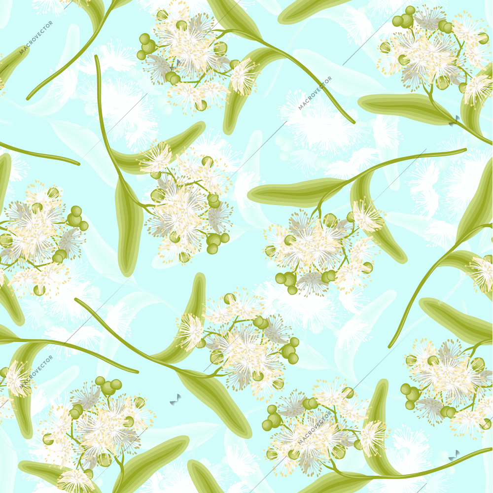 Blossoming linden summer flowers seamless pattern vector illustration