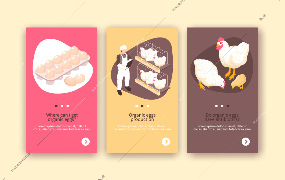 Organic eggs and chicken meat production 3 isometric vertical poultry farm colorful background banners isolated vector illustration