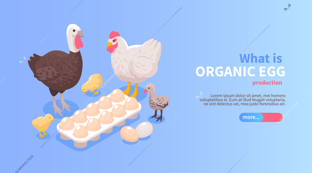 Poultry farm production isometric horizontal website banner design with organic eggs chicken turkey meat offer vector illustration