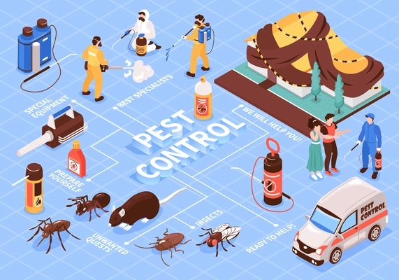 Pest control home office disinfection service isomeric flowchart with professional team equipment car insect rats vector illustration