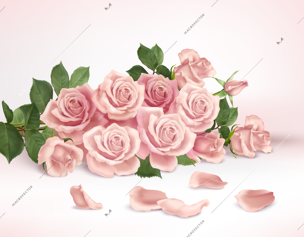 Realistic composition with bunch of beautiful pink roses and petals vector illustration