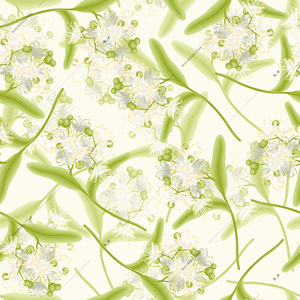 Blossoming aromatic linden summer flowers seamless background vector illustration