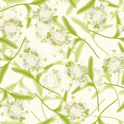 Blossoming aromatic linden summer flowers seamless background vector illustration