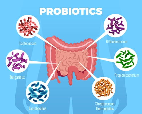 Probiotics bacteria poster with strengthening immune system symbols flat vector illustration