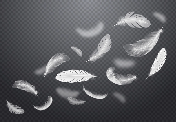 Set of white falling bird feathers on dark transparent background in realistic style vector illustration