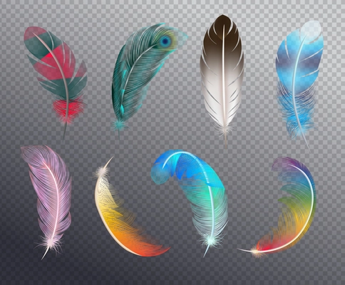 Colorful realistic set of bird feathers painted in different patterns or rainbow colors on transparent background vector illustration