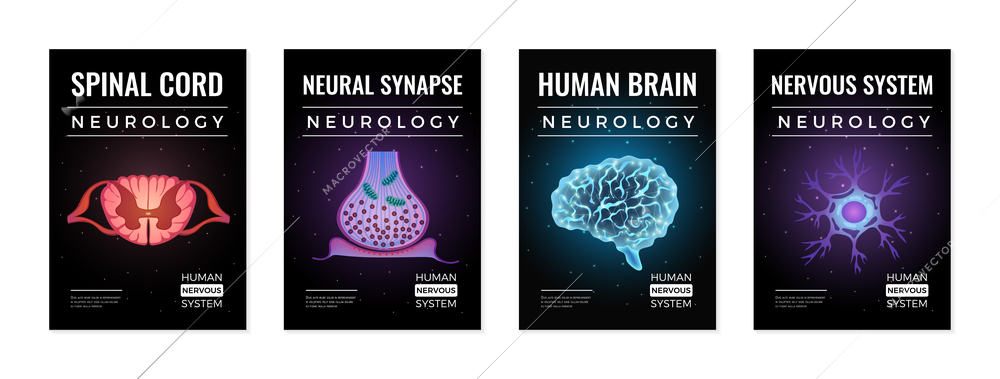 Neurology banners collection of four vertical compositions with editable text and glowing neon molecular brain images vector illustration