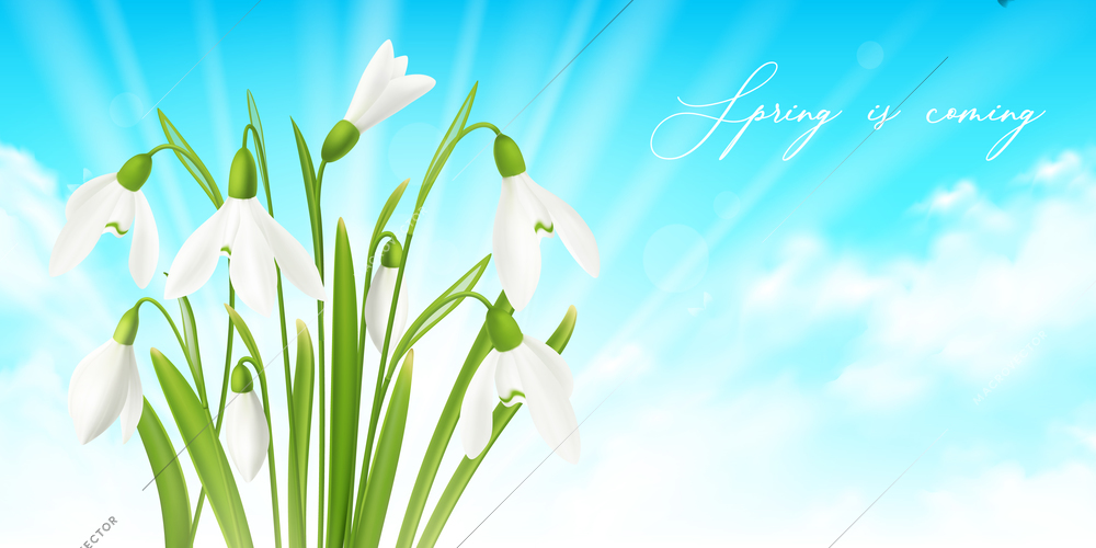 Snowdrop flower horizontal realistic background with spring symbols vector illustration