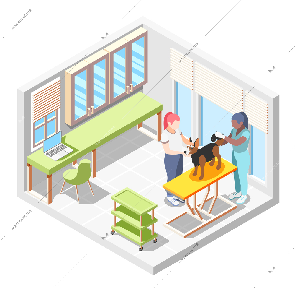 Ordinary life of man and his dog isometric composition with veterinary room and doctor check of dogs health vector illustration