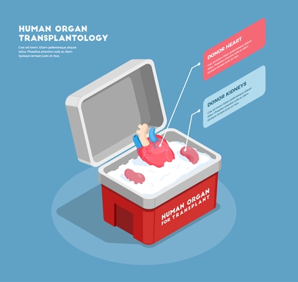 Human organs isometric composition with donor heart and kidneys in medical container 3d vector illustration