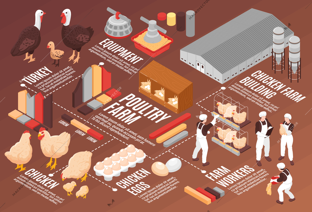 Chicken poultry farm isometric flowchart poster with meat eggs production equipment farm workers buildings birds vector illustration