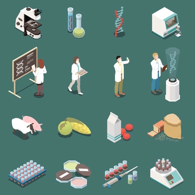 Genetics isometric icons set with scientists equipment food and animals 3d isolated vector illustration