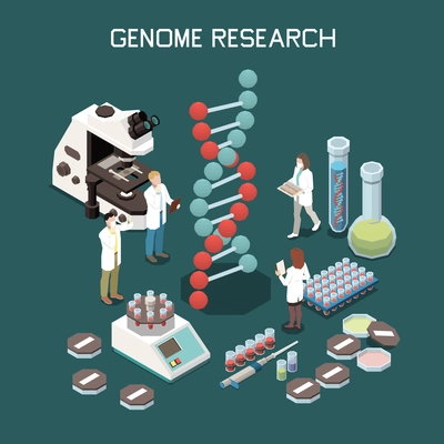 Genetics isometric composition with laboratory equipment and scientists researching genome 3d vector illustration