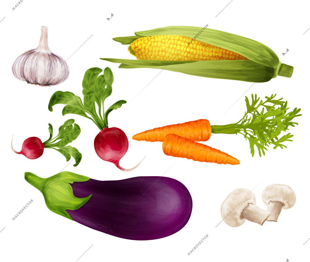 Green vegetable organic food realistic set with garlic maize carrot isolated vector illustration.