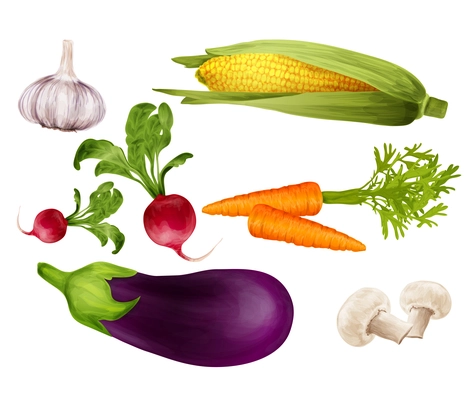 Green vegetable organic food realistic set with garlic maize carrot isolated vector illustration.