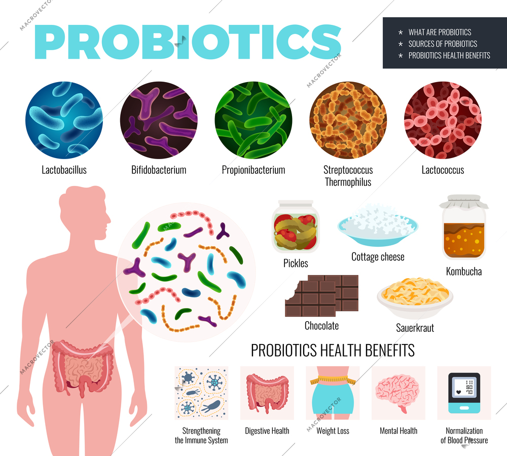 Probiotics and health set with sources and benefits symbols flat isolated vector illustration