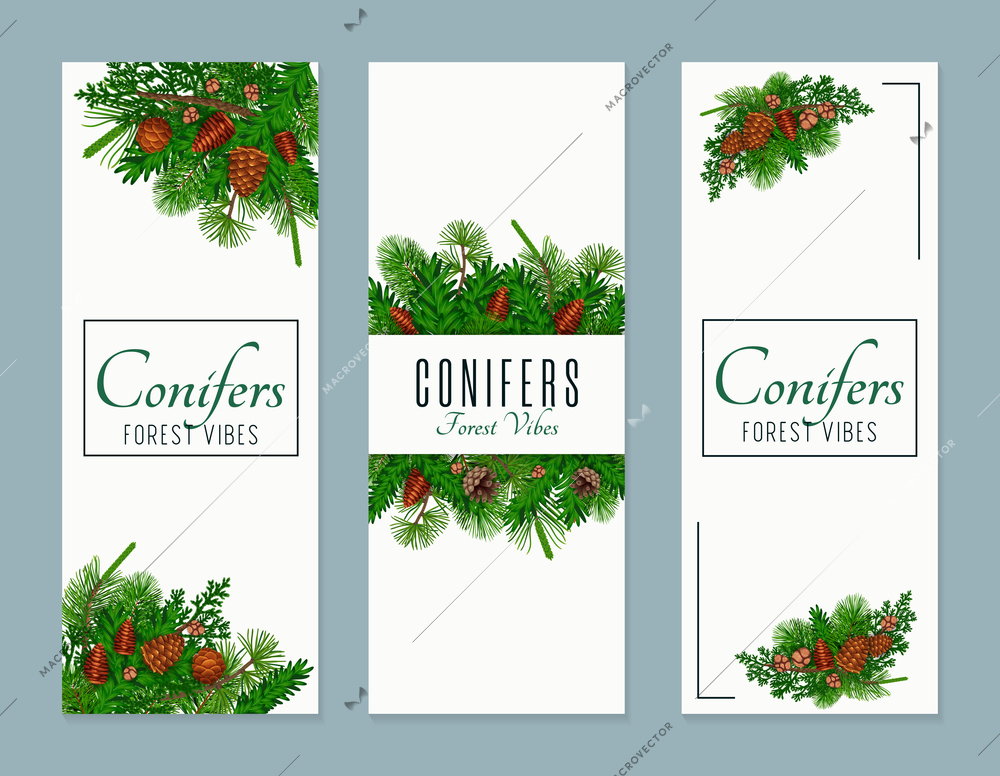 Conifer vertical banners set with forest vibes symbols flat isolated vector illustration