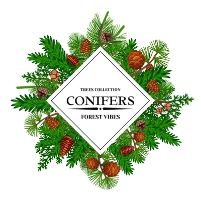 Pine tree frame with forest conifers and cones flat vector illustration