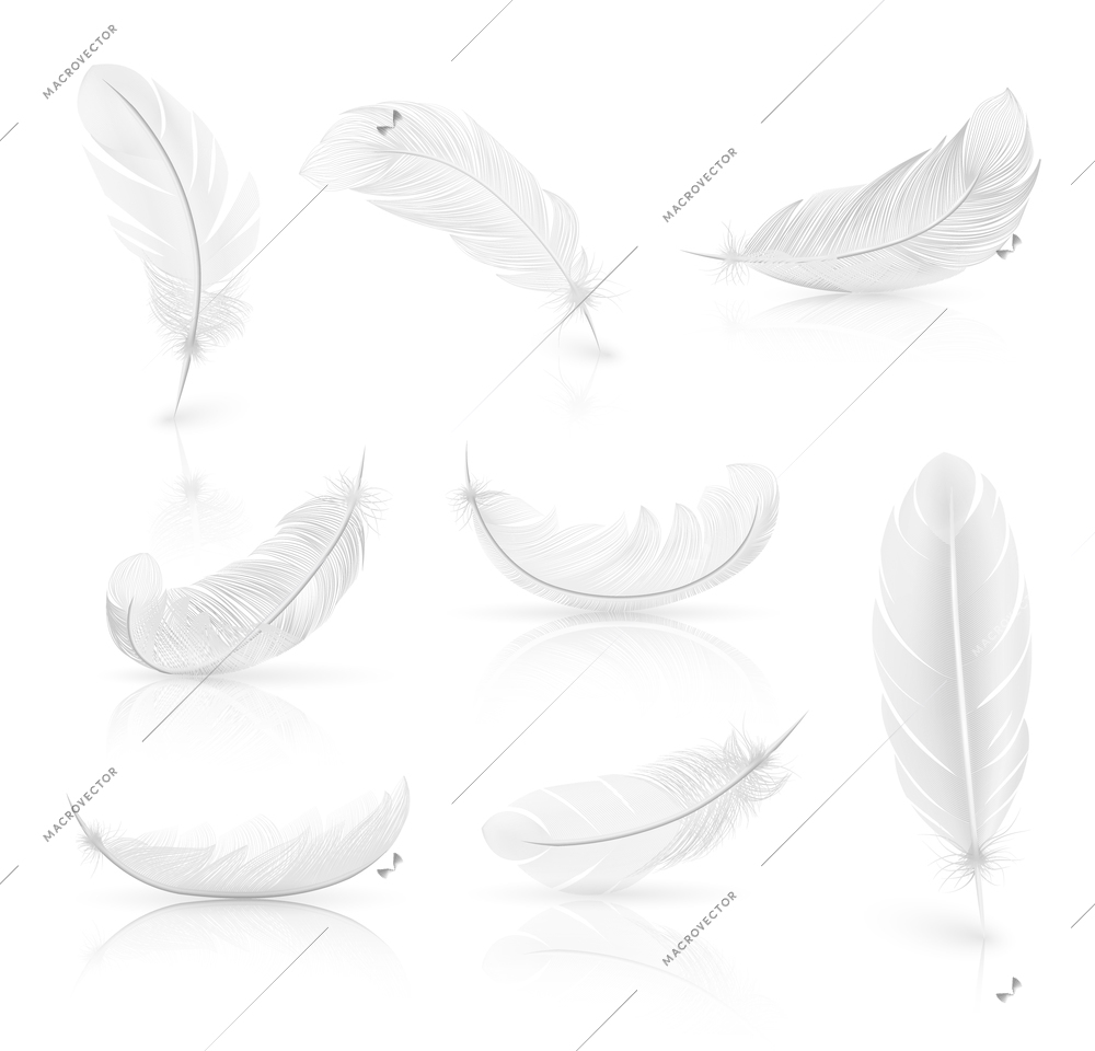 Realistic set of white easy feathers with shadow on smooth white surface vector illustration