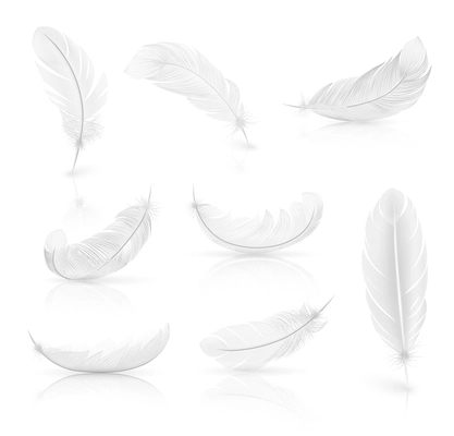 Realistic set of white easy feathers with shadow on smooth white surface vector illustration