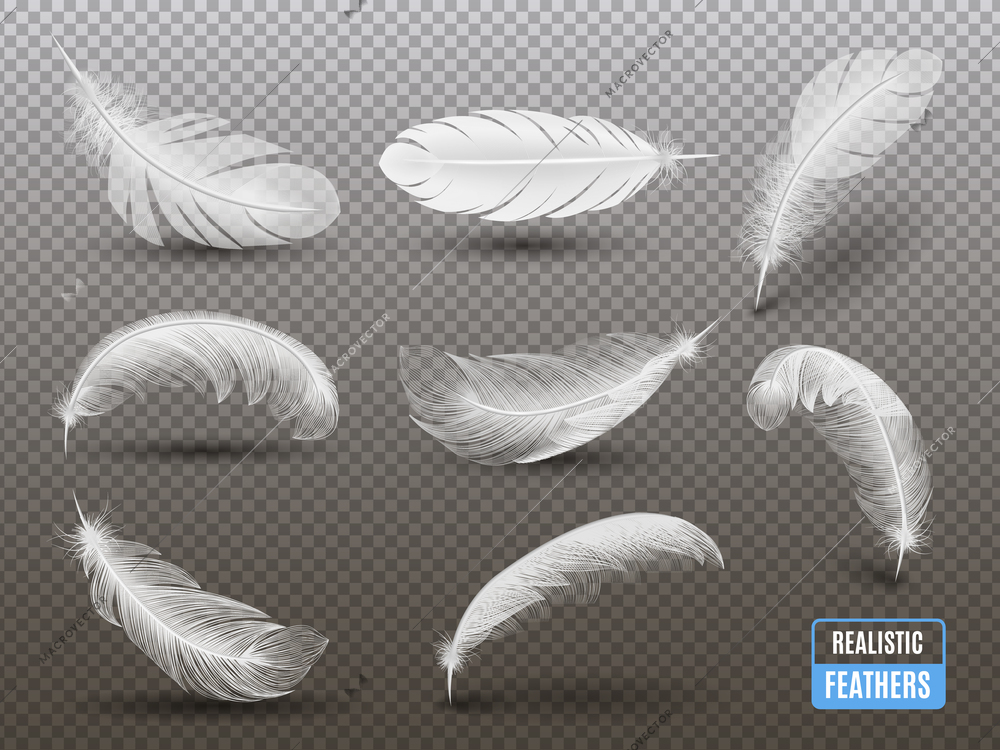 Isolated white feathers casting shadow on transparent background realistic set monochrome vector illustration