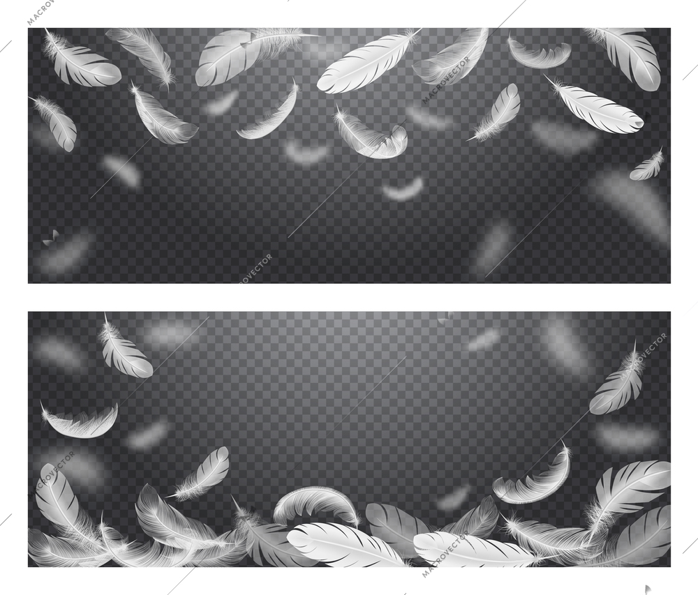 Two abstract monochrome isolated transparent banners designed with white flying feathers realistic vector illustration